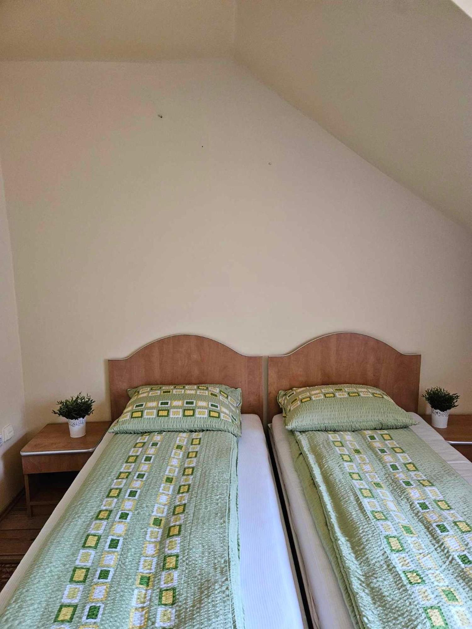 Panzio Anett Bed & Breakfast Pietroasa  ภายนอก รูปภาพ