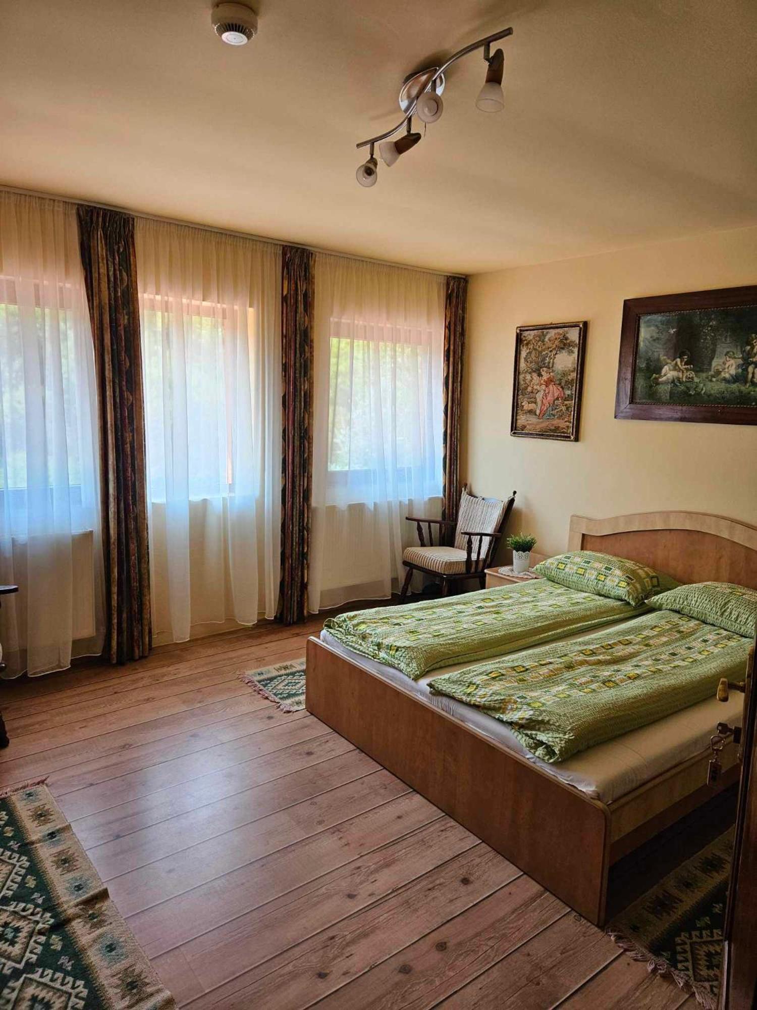 Panzio Anett Bed & Breakfast Pietroasa  ภายนอก รูปภาพ