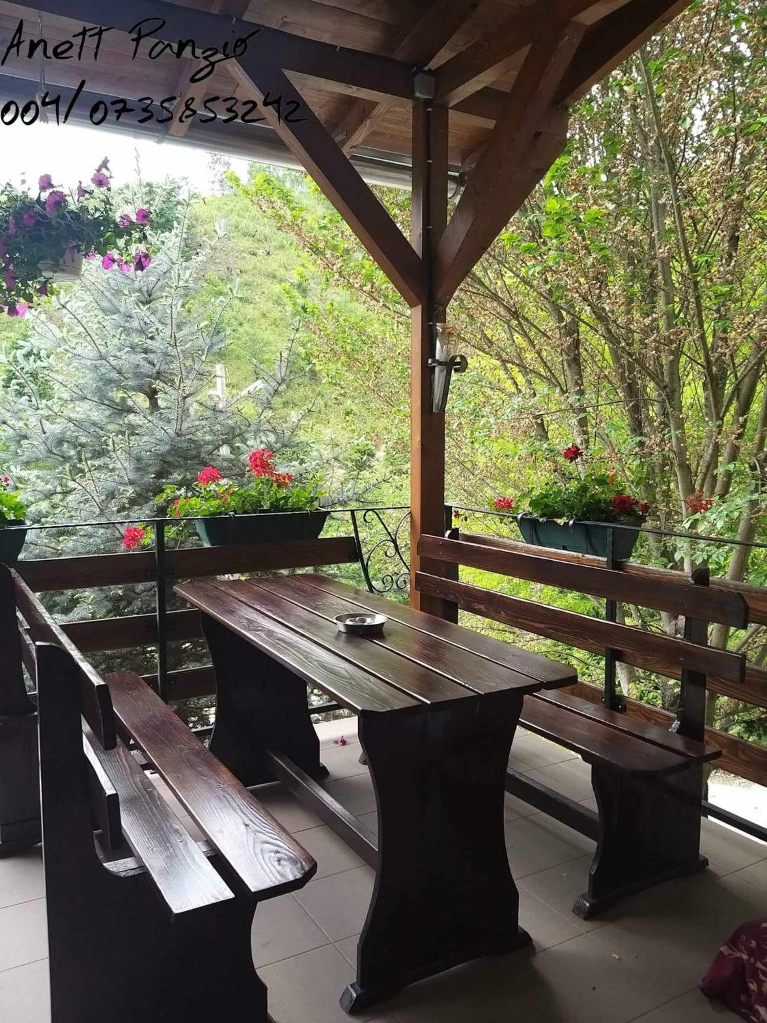 Panzio Anett Bed & Breakfast Pietroasa  ภายนอก รูปภาพ